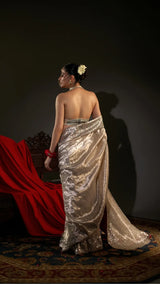 Woman in a sparkling silver gown standing in a dimly lit room with a red curtain.