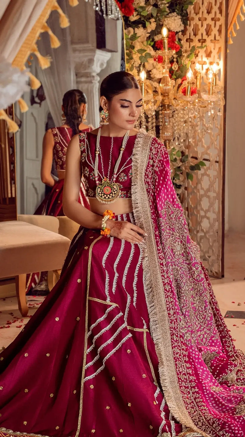 Woman wearing a fuchsia embellished formal Pakistani dress with dupatta, gold jewelry, and intricate embroidery, seated in an elegant indoor setting.