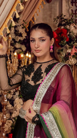 Woman in luxury Pakistani formal wear, sheer black embroidered blouse and colorful dupatta